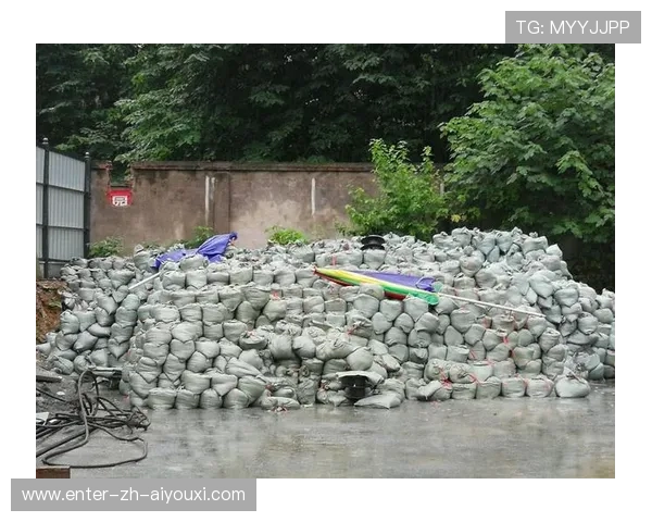 大井直人爆发力太强,直接震掉沙袋灰